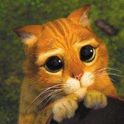 errai7's profile picture. 