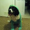 hazel graham - @mollydogy - Twitter