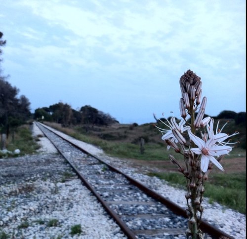 sirah64's profile picture. 