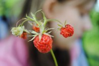 AditaWebp's profile picture. Dentistaaaa del amor