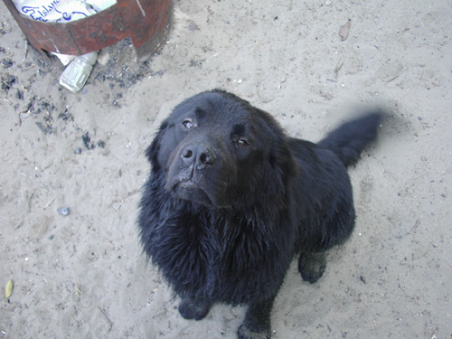 Tweetin4Dummies's profile picture. Welcome! We hope you'll enjoy learning Twitter and Social Media Networking along with us! Please stay tuned to Tweetin4Dummies for as we learn so shall you!