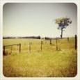 It's Not How Fast You Get There, It's How Long You Stay - Patty Berg http://t.co/VPcgIuxngK