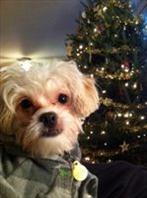 Pastyyhga's profile picture. Model, personal trainer and more. Like the outdoors, exercise and family. http://t.co/BSXRDZzyWg