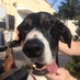 Travis Kolowich (@tkolowich) Twitter profile photo Travis Kolowich (@tkolowich) Twitter profile photo