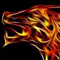 Wolfhowl1999's profile picture. If you hate me you hate awesome people, for that is what I am