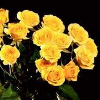 ℱreedom ℱlowers (@voluntarysm) 's Twitter Profile Photo ℱreedom ℱlowers (@voluntarysm) 's Twitter Profile Photo