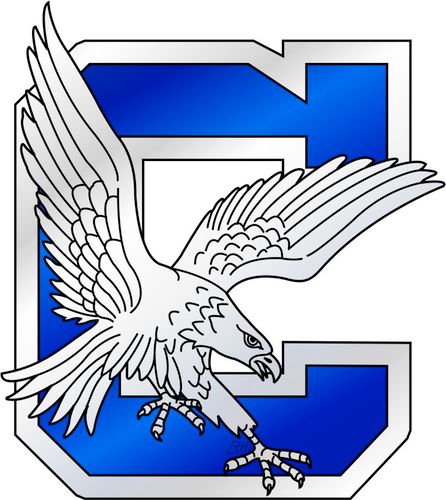 Clover High School Athletic Training. Where Blue Eagles mend their wings.  3 time NATA Safe Sport School award recipient.