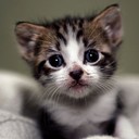 Daniel Qu - @DanielQu92 - Twitter