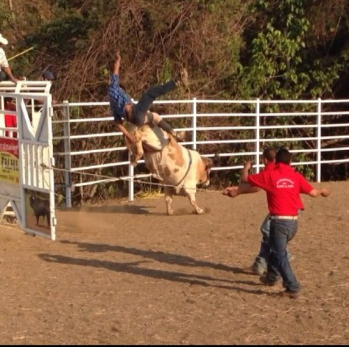 Somos los imperdonables de rancho el frijol, dispuestos a dar 100% espectáculo puro y profesional, CONTRATACIONES A LOS TELEFONOS 3121382919 I.D 52*978493*1