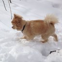 Dan Medlicott - @bookemdano1422 - Twitter