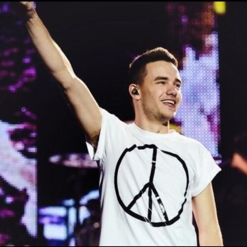 LiamPayne_Realx's profile picture. 