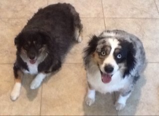 kumadaddy's profile picture. 