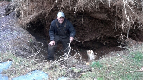 arborprova's profile picture. Tree Removal, Stump Grinding, Pruning, Cabling, Bracing. 24 hr Emergency Service. Residential and Commercial
