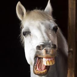 TCTips1's profile picture. 