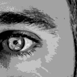 nandodlrp's profile picture. Vivir para ver