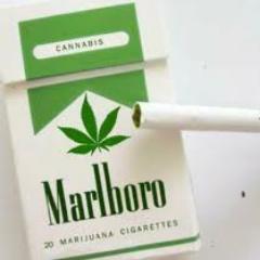 murilo adaball step compositor dançarino faço um pitbox  mando uma rima jogo futebol e sou maconheiro nato que bebe e fuma carlltoon