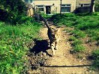I like to make movies and run sound. http://t.co/S7yDxCcg7R