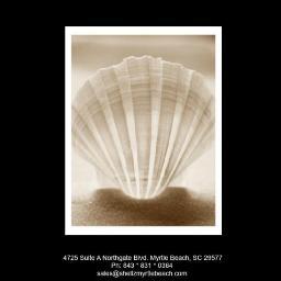 A wholesaler of seashells, seashell novelties, and accessories.  






 
843 831 0364 sales@shellzmyrtlebeach.com