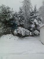 Marchelleaxbg's profile picture. Chec out m lists... and find out why can be useful to you! http://t.co/bjTJ48g5O0