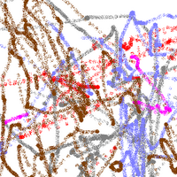 Anne Moses (@annetmoses) 's Twitter Profile