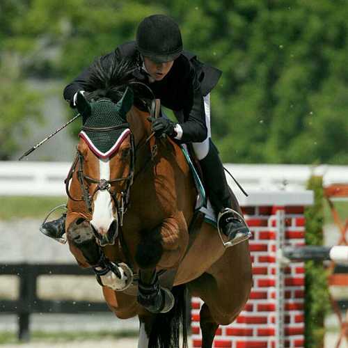 De vriendschap met je paard, is de vriendschap voor het leven!