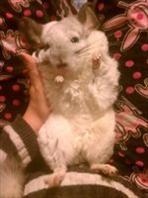 Gretchentmmz's profile picture. Top Art Mall supply museum quality oil paintings, You can get oil paintings on canvas of any image in any size from our site: topartmall http://t.co/ppH6xhDRwu