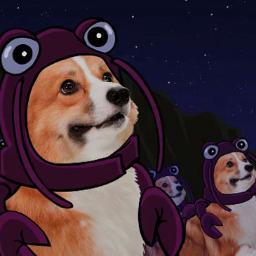 CorgiNation1's profile picture. 