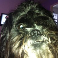 mark mcgregor (@maccamillie) 's Twitter Profile