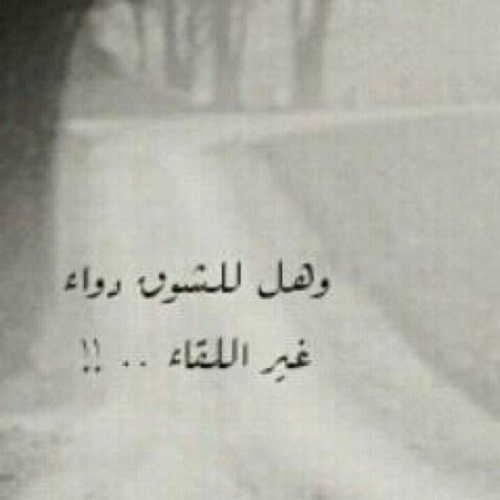 ha1mn1ma Profile Picture