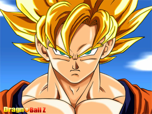My name is Goku my saiyan name is Kakarot I was sent here to destroy earth now I'm its protector I have a wife and 2 sons I love to eat and to fight #Protector