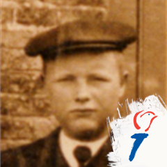 WarinTheCorner's profile picture. 