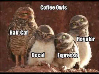Just me... Software Developer, Christian, coffee lover, and now Home Owner :-)