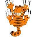 Renee Kellogg - @ReneeKellogg - Twitter