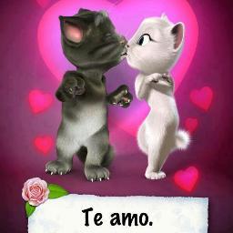 soy linda alegre cariñosa y  me gusta ser amigos