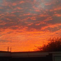 johnmcgovern65's profile picture. 