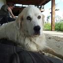 Garth Simpson - @g_sim88 - Twitter