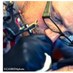 Mouse Tattooer (@mousetattooer) Twitter profile photo Mouse Tattooer (@mousetattooer) Twitter profile photo