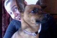 Maganquz's profile picture. Hey I love everything to do with the internet... Follow and I'l follow back :) Check out my blog! http://t.co/UtJ2OLahAf