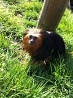 Shemikafgzod's profile picture. in a relationship, funnie, happy, bubblie, preppy, flirty!!! i love my life, future bf. nd more!!!! http://t.co/jt9kKunOhX