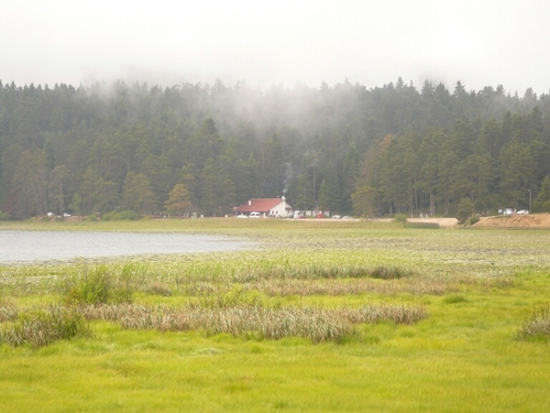 n_asshq8's profile picture. الاحترام والاخلاق مع الاخرين هما من يحددان مقدار حبهم لك