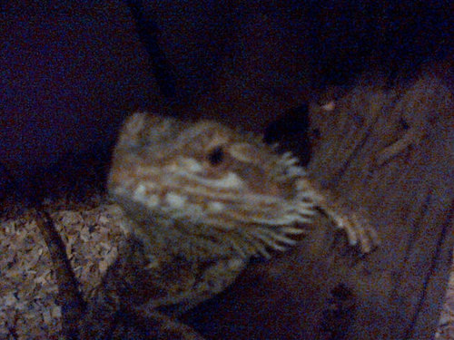 ZxCODpro12's profile picture. Life isn't always what you want it to be...