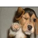 Tariq Kelly - @tariqkel - Twitter