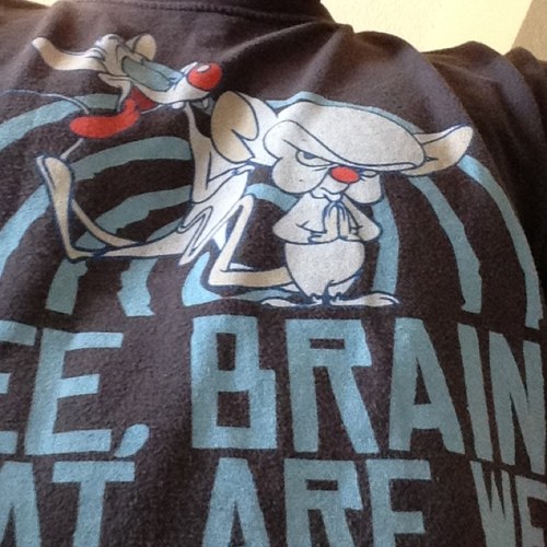 Michael61Mike's profile picture. 