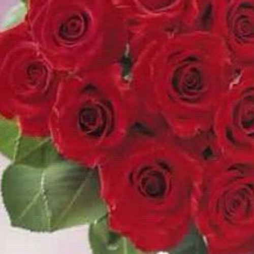 فتاة اجتماااعية اعشق الطبيعة،،،أكرة الرسميات احب من يكون امامي على طبيعته ..