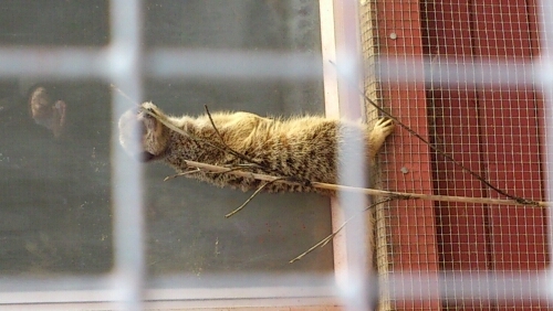 steveking447's profile picture. 