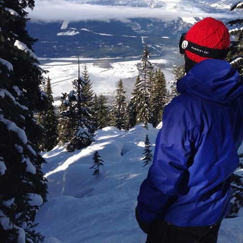 P_D_M21's profile picture. 