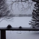 Kim A Wurschmidt - @EarlLake - Twitter