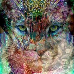 ErosAlexandros's profile picture. 