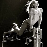 Iggy Pop (@theonlyiggy) 's Twitter Profile