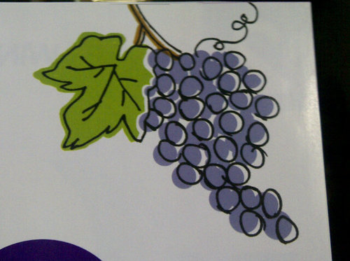 Caregiver at Amy’s Helping Hands, chairperson of Shores of Erie Wine Festival
